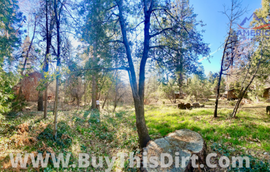 Idyllwild (Strong Dr): Nature Lover’s Paradise Nestled Between Ancient Pines!