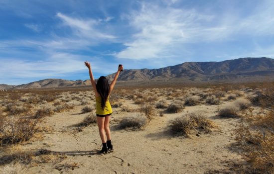 Johnson Valley “Pony Rd”: A Very Private, Off-Roading Enthusiast’s Paradise!