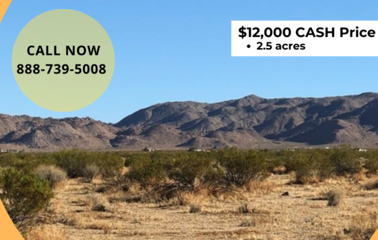 Johnson Valley (Datura Terrace): 2.5 Acres of Level Land Perfect for your OHV and RV!